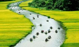 Việt Nam của tôi màu xanh...