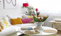 Căn hộ 40m² ngập tràn sắc xuân nhờ nội thất hiện đại