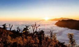 Thu vào tầm mắt cả trời mây Tà Xùa