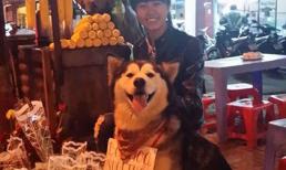 Chú chó ở Đà Lạt treo biển 'bán hoa nuôi thân' thu hút hàng vạn lượt like