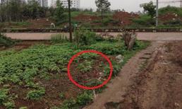 Camera ghi hình nghi can giết xe ôm trong đêm