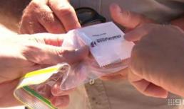 Phát hiện manh mối nghi của MH370 trên bờ biển Úc