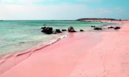 Đâu phải chỉ có những bãi biển cát vàng