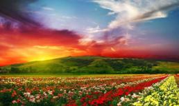 Mê đắm 10 'thiên đường sắc màu' rực rỡ nhất thế giới