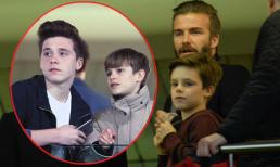 Beckham đưa các quý tử đi xem bóng đá