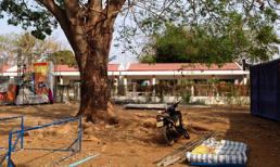 Bắt giữ nam thanh niên giết người trong hội chợ