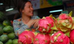 Hoa quả Việt sang Nga: Không nước nào thay thế được