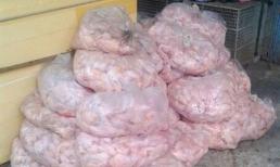 Đồng Tháp: Phát hiện hơn 1 tấn gà không rõ nguồn gốc