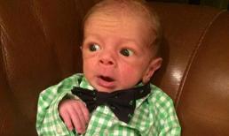 Cười bò với khoảnh khắc trẻ sơ sinh nhìn như ông già