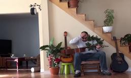 Trả giá sau khi phá giấc ngủ trưa của mèo ú