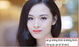 Trương Hồ Phương Nga đã 'nói' gì trước khi bị bắt giữ?