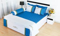 Cuscino tặng cả bộ ga khi mua đệm
