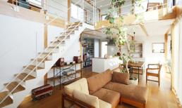 Ngôi nhà đẹp được thiết kế lắp ghép siêu đơn giản ở Nhật Bản