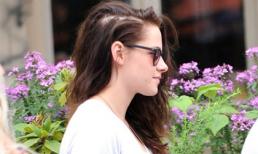 Cây cọ lùn ngăn rụng tóc thật kỳ diệu