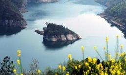 Kì lạ đảo rùa chỉ 'hiện hình' vào mùa xuân