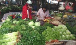 Hà Nội: Giật mình mớ rau muống đắt ngang 3 lạng thịt