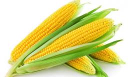 4 lợi ích không ngờ của ngô ngọt