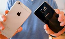 Galaxy S6 và iPhone 6 Plus đọ tài chụp ảnh