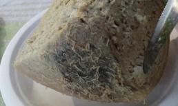 Đặc sản kinh dị: Pho mát giòi, ruột cá lên men