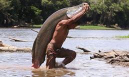 Những con cá khổng lồ ở Amazon