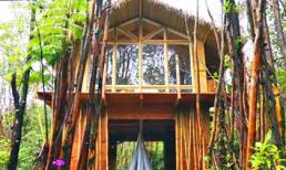 Đột nhập căn nhà nhỏ ở Hawaii xây hết 200 triệu đồng