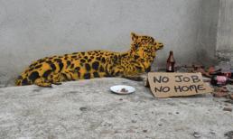 Ăn mày bá đạo như dao cạo