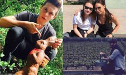 Nhà Becks đăng ảnh vui nhộn mừng lễ Phục Sinh 