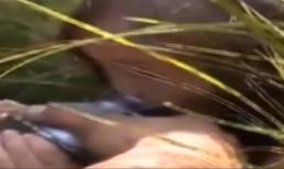 Bé 3 tuổi sống sót diệu kỳ sau 11 ngày lạc trong rừng