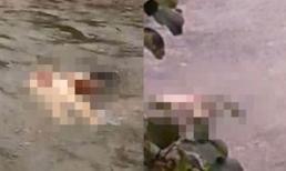 Truy bắt hung thủ giết phụ nữ, vứt xuống suối