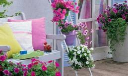 10 ý tưởng trang trí ban công nhỏ đáng để học hỏi