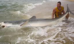Chàng trai lôi cá mập khổng lồ lên bờ sau 3 giờ 'chiến đấu'