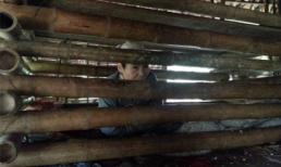 Phát dại sau bệnh nặng, bị người thân nhốt trong cũi