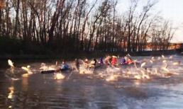 Cá chép 'tấn công' người gây hoang mang ở Mỹ