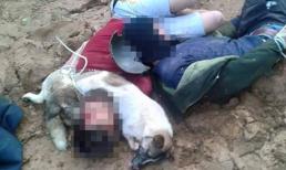 'Cẩu tặc' bị đánh: Cảnh tượng khiến người xem ám ảnh