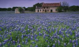 Chiêm ngưỡng 10 vườn hoa đẹp nhất thế giới