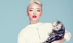 Tóc Tiên gợi cảm và nóng bỏng bên chú mèo