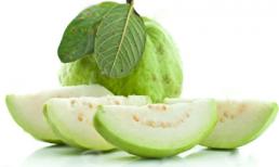 Vì sao ăn vài trái ổi sẽ không cần gặp bác sĩ cả năm?