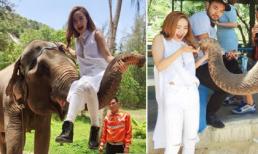 Minh Hằng thích thú cưỡi và cho voi ăn