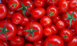 Người bị bệnh gì nên kiêng ăn cà chua?