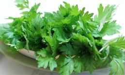 Chữa bệnh bằng ngải cứu