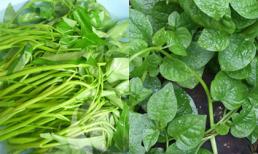 Điều cần cân nhắc khi ăn rau mồng tơi, rau muống, rau ngót và rau dền