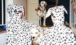 'Tớ nào chủ nấy'