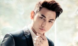 Sao Việt thành công khi tách nhóm solo