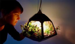 Sự kết hợp độc đáo giữa vườn cây và đồ nội thất