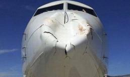 Máy bay bị móp mũi vì đâm phải chim