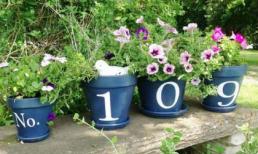 Trang trí vườn hoa với chậu cây sáng tạo