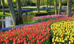 Những khu vườn đẹp như cổ tích trên thế giới