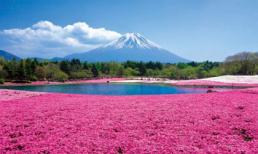 Những điểm du lịch ấn tượng bạn nên đến một lần trong đời