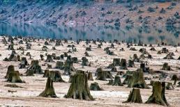 Những bức ảnh về ô nhiễm môi trường khiến bạn phải suy ngẫm