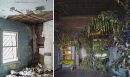 Cải tạo nhà bỏ hoang thành thiên đường của các loài hoa